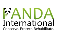 Day 3: Panda Logo;  Nonprofit Organization: Panda International