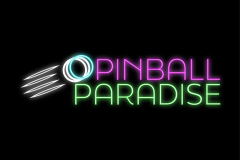 Day 50: Arcade; Company: Pinball Paradise