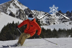 Day 8: Ski Resort; Company: Snowdrop