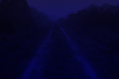 Midnight Road