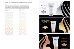 Logo-Client Presentation-Elemental p.5