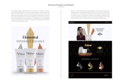 Logo-Client Presentation-Elemental p.6