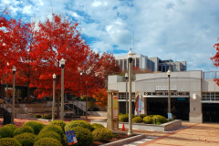 Decatur Marta