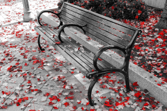Fall Bench