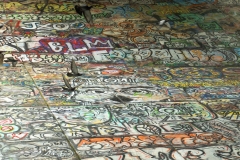 Graffiti with Pigeons