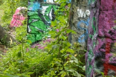 Graffiti Ruins II