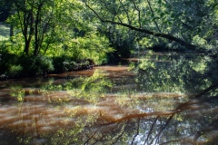 Reflections