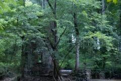 Tower Ruins