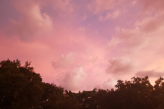 Over the Rooftops 6