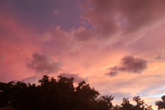 Over the Rooftops 8