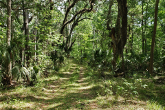 Hidden Road
