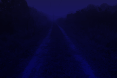 Midnight Road