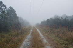 Powerline Road