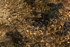 Water Pebbles