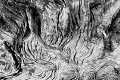 Textures 1