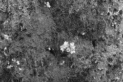 Textures 10