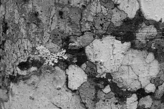 Textures 11