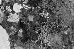 Textures 12