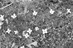 Textures 13