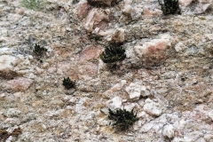 Textures 14