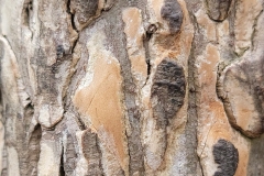 Textures 15
