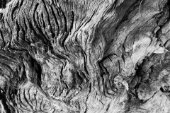 Textures 3