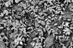 Textures 5