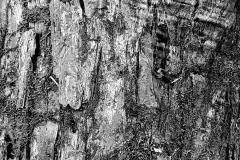 textures8@300dpi12x16