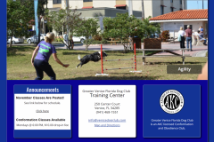 Venice Dog Club Website