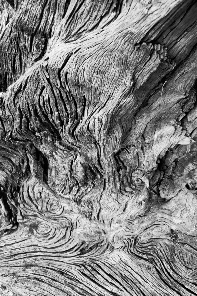 textures